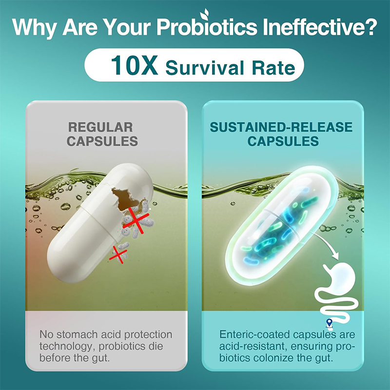 Probióticos para la Salud Dige - Probiotic 60 Billion reseña y precio