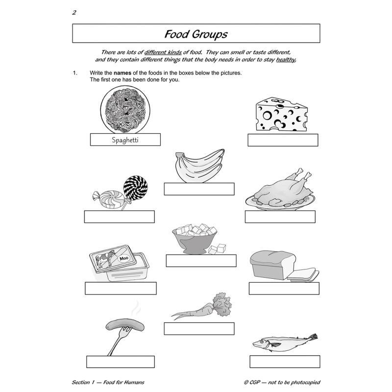Libro de Nutrición para el Ent - Nutrition Workout reseña y precio